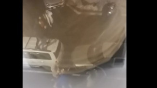 В новогоднюю ночь жители Тольятти танцевали на крыше машины