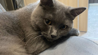 Магнитные бури не собираются покидать Самару до 6 февраля