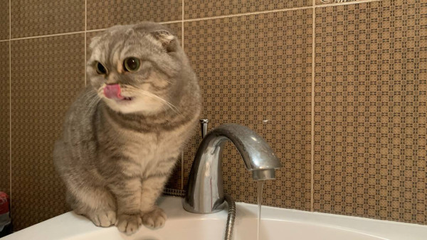 7 улиц Самары временно останутся без воды 1 сентября