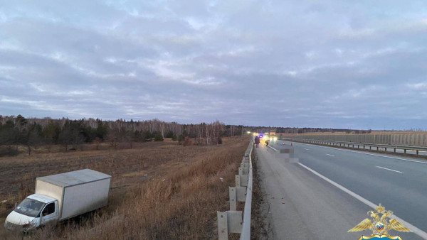 На М5 даже не суйтесь! Под Самарой водитель грузовика насмерть сбил пешехода