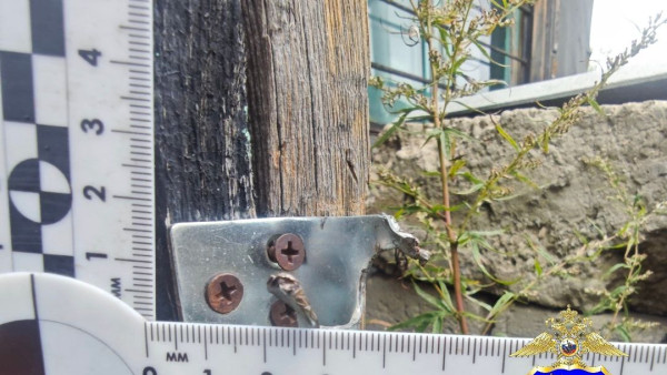  Племянник из Москвы ограбил родную тетю в Самарской области