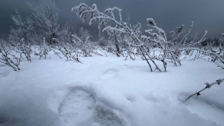 Снег с дождём ожидается 13 декабря в Самарской области после 13.00 