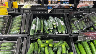 ФАС проверит резкий рост цен на огурцы