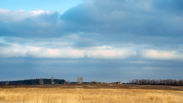 У самарского экс-чиновника Е. Макридина изымут два земельных участка
