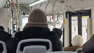 Под Самарой коттеджный поселок «Юбилейный» остался без маршрута №103к