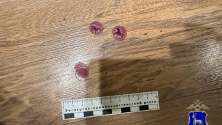 В Самарской области мужчина ограбил мать своего друга ради телефонного звонка