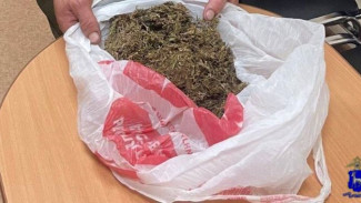 Под Самарой задержан мужчина с крупной партией марихуаны 