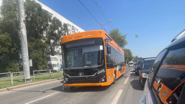 Троллейбусы встали на Московском шоссе в Самаре 11 июля