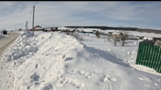 В селе Грачевка под Самарой обнаружен очаг смертельно опасного заболевания  