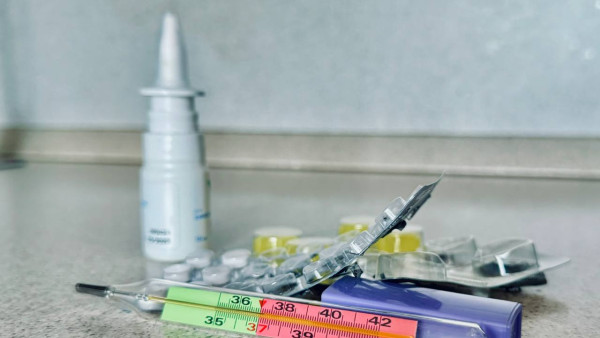 Руководитель Роспотребнадзора Самарской области С. Архипова рассказала о циркулирующем опасном вирусе