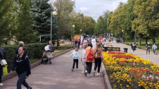 В Самаре 20 мая представили концепцию развития Загородного парка