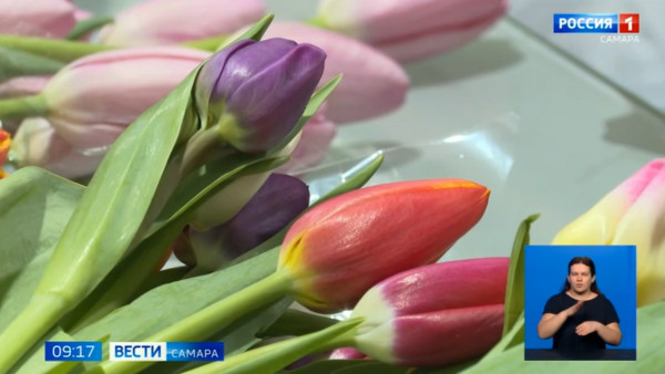 Цветочный этикет: флористы раскрыли секреты языка цветов