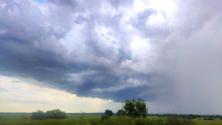 "Время ещё не пришло": синоптики рассказали, какие сюрпризы готовит самарцам новая неделя