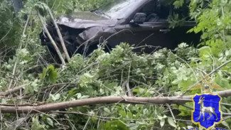 Полицейские рассказали, кто пострадал в ДТП с перевертышем под Самарой