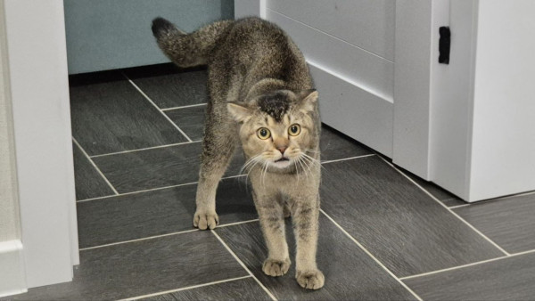 Психиатр назвал долю самарцев, склонных к невротическим нарушениям