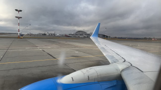 "Так сказали голоса": житель Самары вернулся из ОАЭ, чтобы убить жену