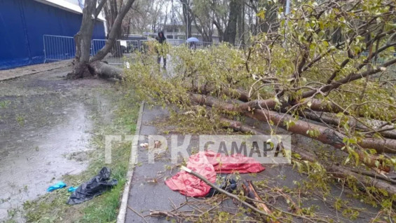 Председатель СК России А. Бастрыкин потребовал доклад после гибели девочки из-за падения дерева в Самаре