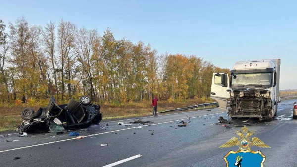 В Самарской области виновника смертельного ДТП  на трассе М5 посадили на 6 лет 