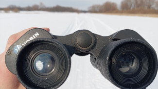 Синоптики дали прогноз погоды на зиму 2024-2025 в Самарской области