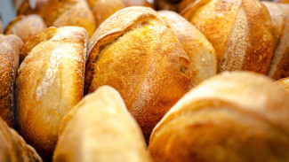 В Самаре создали инновационную рецептуру хлеба из биоорганического зерна