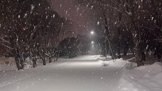 Инспекторы ГИБДД спасли замерзающего жителя Сызрани с ограниченными возможностями здоровья