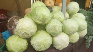 В Самаре в 2026 году хотят открыть новую ярмарку в Советском районе