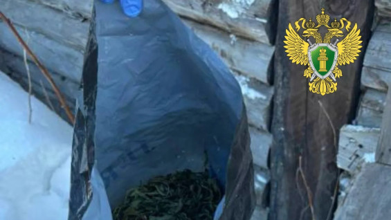 Самарца осудили условно за 146 граммов дикорастущей конопли