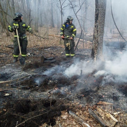 В Самарской области произошел первый лесной пожар
