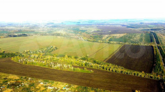 Под Самарой продают участок земли размером с Монако