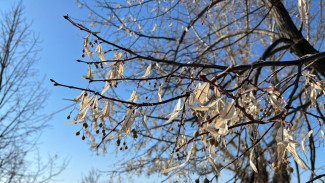 С каждым днем теплее: подробный прогноз погоды на 24–28 марта в Самарской области