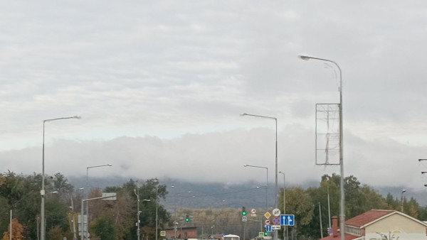 На районы Самарской области опустился плотный туман