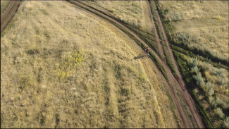 Фильм режиссера из Самары номинирован на трех международных кинофестивалях