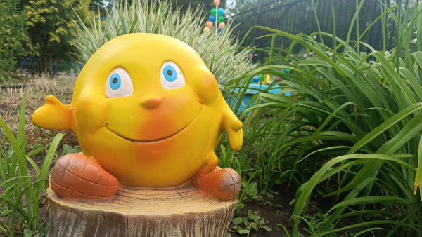 В Самаре 29 августа распределят свободные места в детских садах