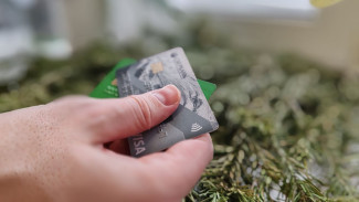 18-летней девушке из Тольятти грозит штраф 1 млн. рублей за продажу карты 