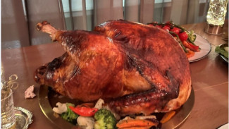 Врач Соломатина рассказала, какими частями курицы можно отравиться 