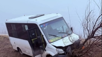 Появилась информация, что стало с пассажирами съехавшей в кювет маршрутки в Самарской области