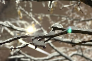 18 декабря в Самарской области потеплело до +1ºС