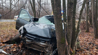 Под Самарой LADA Granta сбила лося и вылетела в кювет