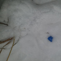 В Самарской области поймали молодых наркоторговцев 