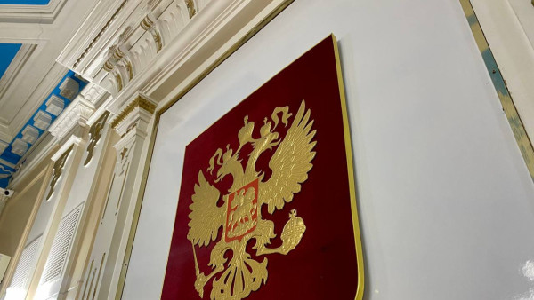 Глава СК России А. Бастрыкин потребовал доклад по делу о смерти 10-летнего мальчика в Тольятти