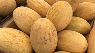 Самарцам рассказали, как правильно выбирать дыню