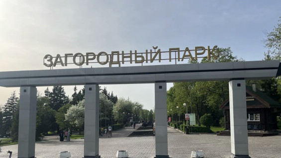 В Загородном парке вандалы испортили новые шезлонги и скамейки