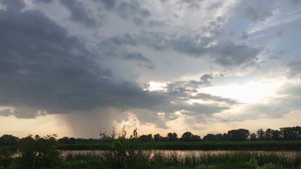 В Самарской области объявлен желтый уровень опасности из-за грозы и сильного дождя 12 августа