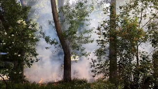 В Самарской области 21 мая начался пожар после возгорания пуха