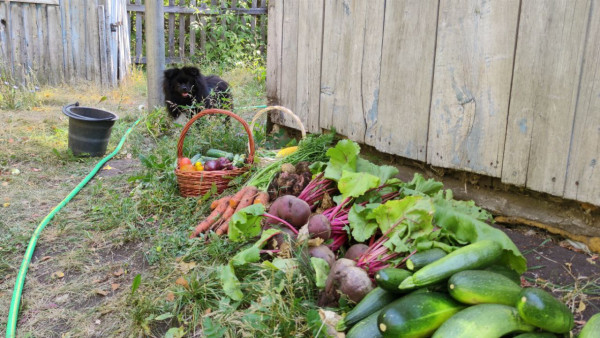 Народный календарь: 1 сентября. Не делайте этого на Фёклу Свекольницу, чтобы не накликать горе