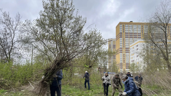 В Самаре, несмотря на непогоду, привели в порядок территорию у поликлиники №2