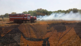 Огонь уничтожил пшеничное поле под Самарой 