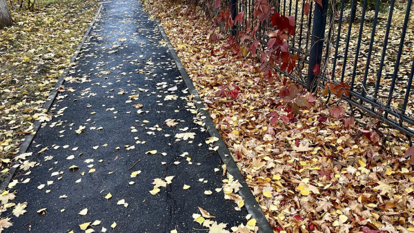 Гороскоп на 25 октября: День сюрпризов и возможностей для 5 знаков