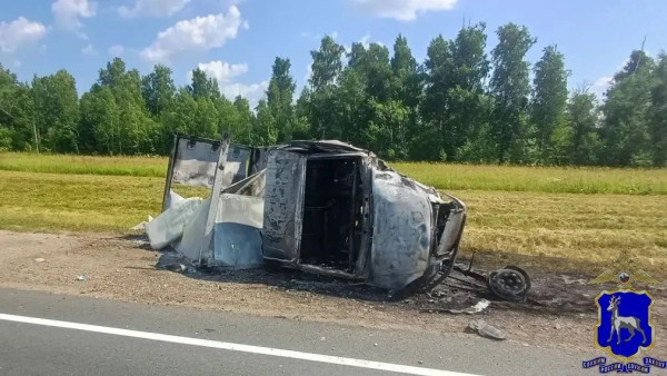 Появились кадры с места ДТП, в котором сгорела Lada Granta с водителем под Самарой