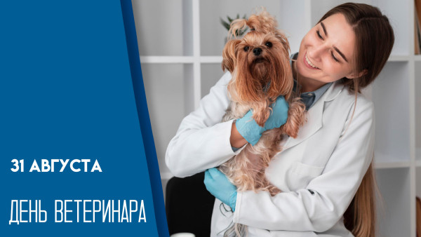 31 августа — День ветеринарного работника: поздравьте "айболитов" нашего времени уникальными открытками